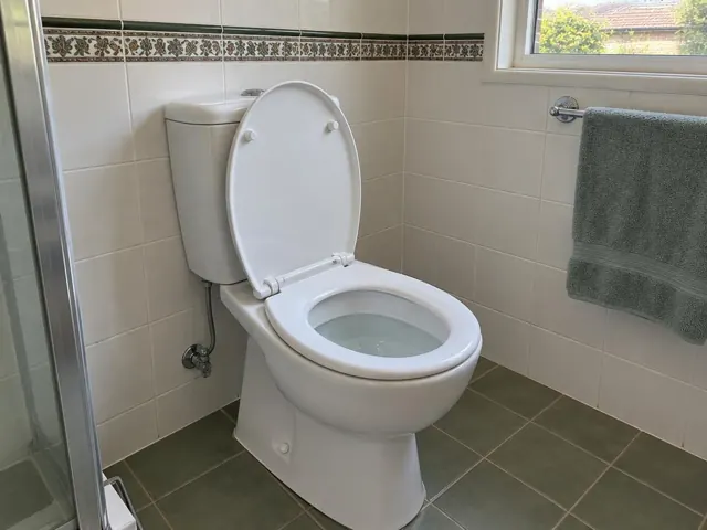 Clean white toilet in a tiled bathroom with a tiled floor and window in Lindfield